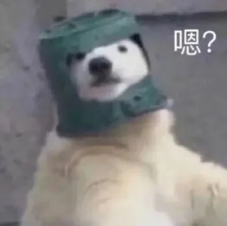 😳 嗯？ beruang kutub, helm, bingung, hewan, meme, anjing telegram sticker