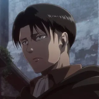 ☁️ Levi Ackerman Attack on Titan anime, manga, attack on titan, levi, levi ackerman, character telegram sticker