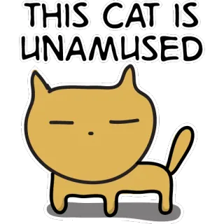 😪 THIS CAT IS UNAMUSED cat, unamused, sticker, meme, funny, animal telegram sticker