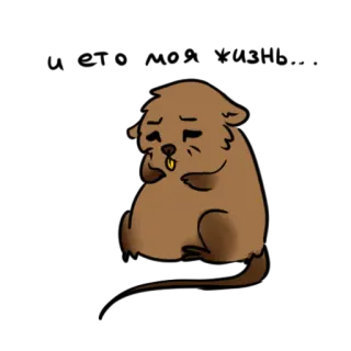 🤡 berang-berang, hewan, imut, kartun whatsapp sticker