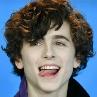 🦇 Timothée Chalamet actor, celebridad, retrato, hombre, pelo rizado, lengua telegram sticker