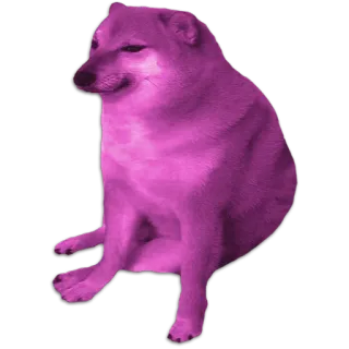💜 Cheems doge, 犬, ミーム, チームス, 動物, 柴犬 telegram sticker