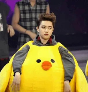 😒 kpop, exo, d.o., funny, chicken, costume telegram sticker