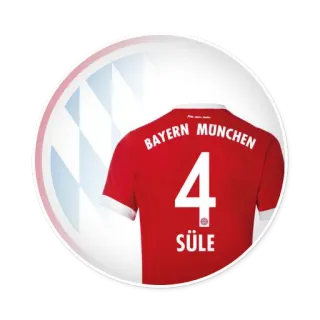 ❤ BAYERN MUNCHEN
4
Süle Bayern Munich, soccer, football, sports, jersey, Niklas Süle telegram sticker