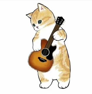 💗 kot, gitara, zwierzę, muzyka, słodki, kreskówka telegram sticker