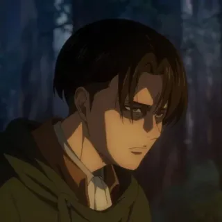 🗿 Levi Ackerman Attack on Titan anime, attack on titan, levi ackerman, żołnierz, poważny, postać, fantasy telegram sticker