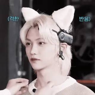 🥤 Felix 격한 반응 kpop, ไอดอล, stray kids, felix, หูแมว telegram sticker