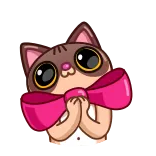 😌 cat, sticker, cute, bow whatsapp sticker
