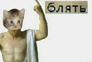 😅 Блять 猫, 小猫, 神, 指, 脏话 telegram sticker