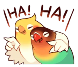 😝 HA! HA! นกแก้ว, หัวเราะ, ฮ่าๆ, นก, สัตว์, ตลก telegram sticker