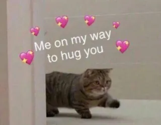 🙆‍♀ Me on my way to hug you gato, abrazo, corazones, lindo, meme telegram sticker