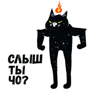 💪 СЛЫШ ТЫ ЧО? 猫, 生气, 俄语, 表情包, 贴纸, 文字, 黑猫 telegram sticker
