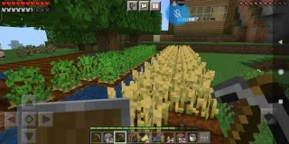 🧑‍🌾 Minecraft video game, pixel art, pertanian, gandum telegram sticker