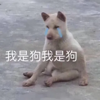 😭 我是狗我是狗 cachorro, triste, chorando, meme, animal, animal de estimação whatsapp sticker
