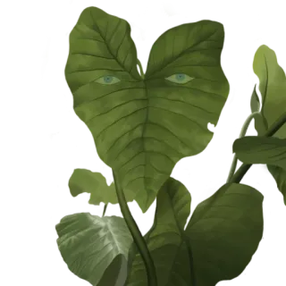 🌱 plant, leaf, eyes, nature, green telegram sticker