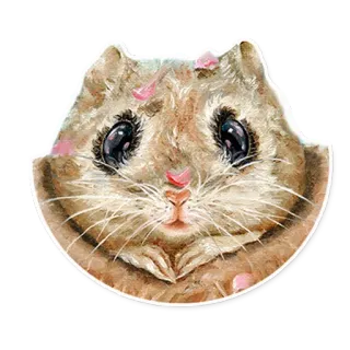 🐿 ハムスター, 動物, 可愛い, かわいい, ステッカー, げっ歯類 whatsapp sticker