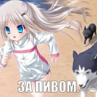 🍺 ЗА ПИВОМ anime, dog, running, text, russian, alcohol, beer telegram sticker