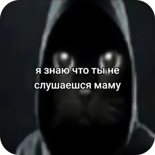 😊 я знаю что ты не слушаешся маму 猫, パーカー, ロシア, テキスト, ミーム, 暗い, 光る目 telegram sticker