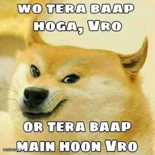 🤓 WO TERA BAAP HOGA, VRO
OR TERA BAAP MAIN HOON VRO doge, mem, śmieszne, hindi whatsapp sticker