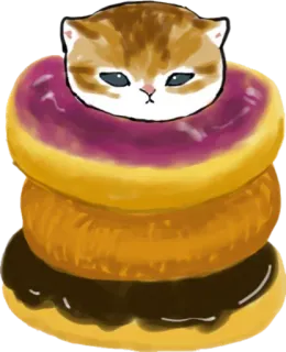🍩 cat, kitten, donuts, food, cute, stack telegram sticker