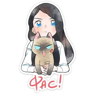 😡 Pac! kat, vrouw, boos, huisdier, cartoon telegram sticker