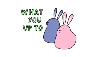 🐰 WHAT YOU UP TO conejos, dibujos animados, animales, pregunta, saludo whatsapp sticker
