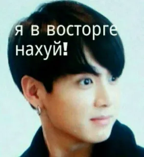 🌟 Я в восторге нахуй! meme, kpop, expression, face, celebrity, portrait telegram sticker