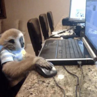 🐵 Affe, Computer, Tier, Gibbon, Tippen, Laptop telegram sticker