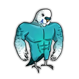 💪 Vogel, muskulös, Tier, Wellensittich, durchtrainiert, Bodybuilder whatsapp sticker
