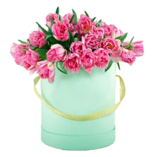 🌹 цветы, тюльпаны, цветочный, букет, подарок, композиция telegram sticker