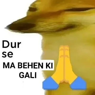 🙂 Dur se
MA BEHEN KI
GALI doge, indian, hindi, insult telegram sticker