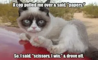 ✂ A cop pulled me over & said, "papers." So, I said, "scissors, I win," & drove off. 暴躁猫, 幽默, 表情包, 猫, 笑话, 警察, 剪刀, 纸 whatsapp sticker