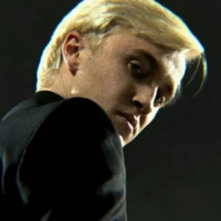 🐍 Draco Malfoy Harry Potter draco malfoy, harry potter, slytherin, zauberer, tom felton whatsapp sticker