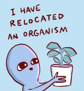 🌹 I HAVE RELOCATED AN ORGANISM มนุษย์ต่างดาว, พืช, ย้ายถิ่น, สิ่งมีชีวิต, น่ารัก, ตลก, ขำ, การ์ตูน telegram sticker