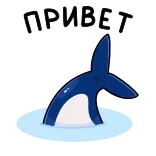 🦈 ПРИВЕТ olá, baleia, russo, saudação, água, animal telegram sticker