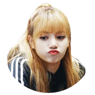 😒 Lisa K팝, 가수, 리사, 블랙핑크, 셀럽, 여자, 얼굴 telegram sticker