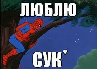 ❤️ Spider-Man ЛЮБЛЮ СУК* spider-man, meme, beleidigend, slang, russisch telegram sticker