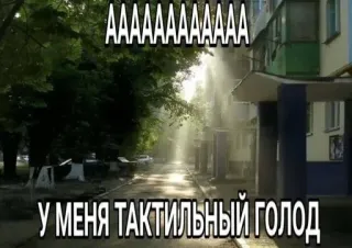 😱 AAAAAAAAAAAA
У МЕНЯ ТАКТИЛЬНЫЙ ГОЛОД haptischer Hunger, Meme, Russisch, Text, emotional telegram sticker