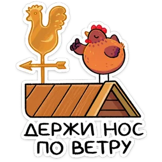 Маргаритка от @TgSticker whatsapp stickers