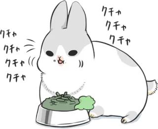 🍴 クチャ
クチャ
クチャ
クチャ
クチャ((( królik, jedzenie, zwierzę, słodkie, kawaii, jedzenie, potrawa telegram sticker