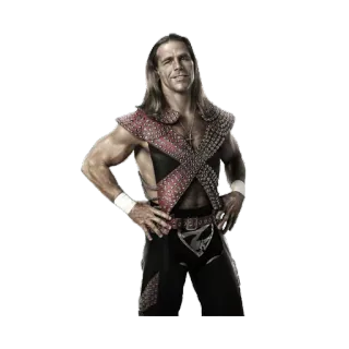 😘 Shawn Michaels catch, athlète, sport, HBK, WWE telegram sticker
