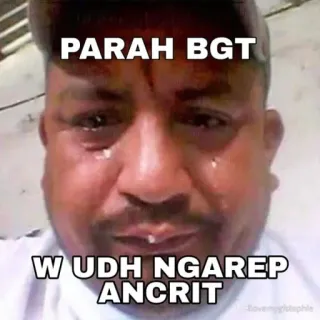 😂 PARAH BGT W UDH NGAREP ANCRIT telegram sticker