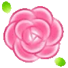 🌸