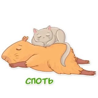 😴 спать kucing, capybara, tidur, binatang, lucu telegram sticker