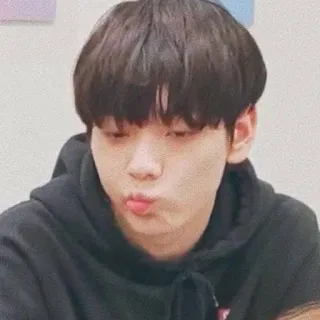 🪄 person, portrait, man, black hoodie, korean, male, young whatsapp sticker