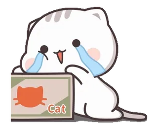 💻 Cat gato, chorando, triste, caixa, animal, desenho animado telegram sticker