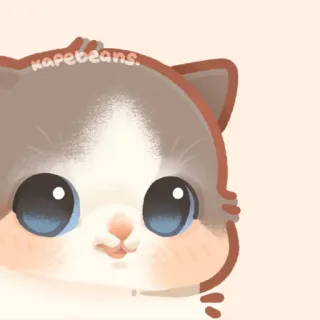 ✨ kapebeans. gato, fofo, animal, animal de estimação, arte digital, desenho animado, ilustração telegram sticker