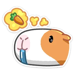 🤤 yoo Meerschweinchen, süß, Tier, Haustier, Karotte, Aufkleber whatsapp sticker