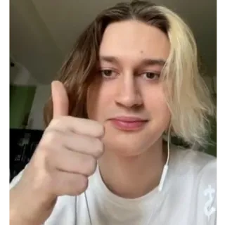 👍 osoba, kciuk w górę, portret, selfie, mężczyzna telegram sticker