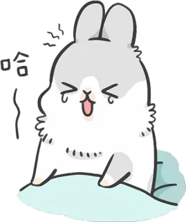 😫 哈哈 królik, słodki, płacz, kreskówka, kawaii, zajączek telegram sticker